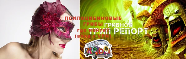 ПСИЛОЦИБИНОВЫЕ ГРИБЫ Волосово